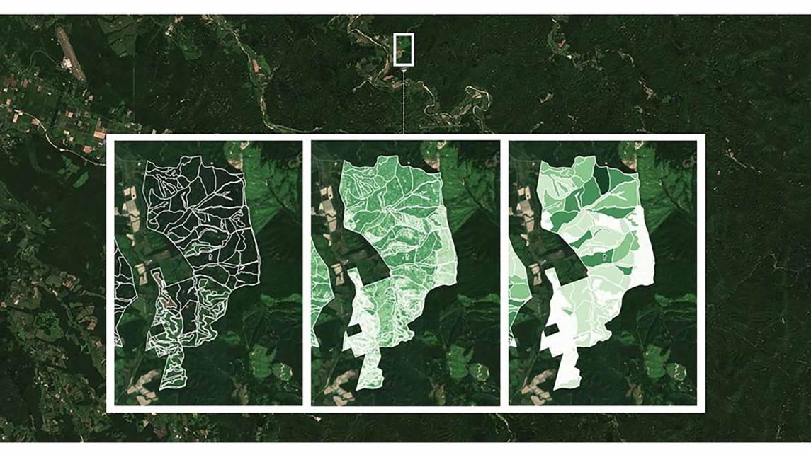 Large-scale forest inventory as measured by satellite remote sensing
