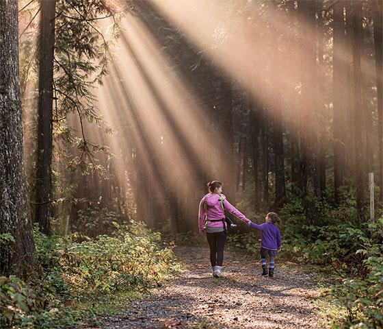 Woman and child walking hand in hand on a forest path